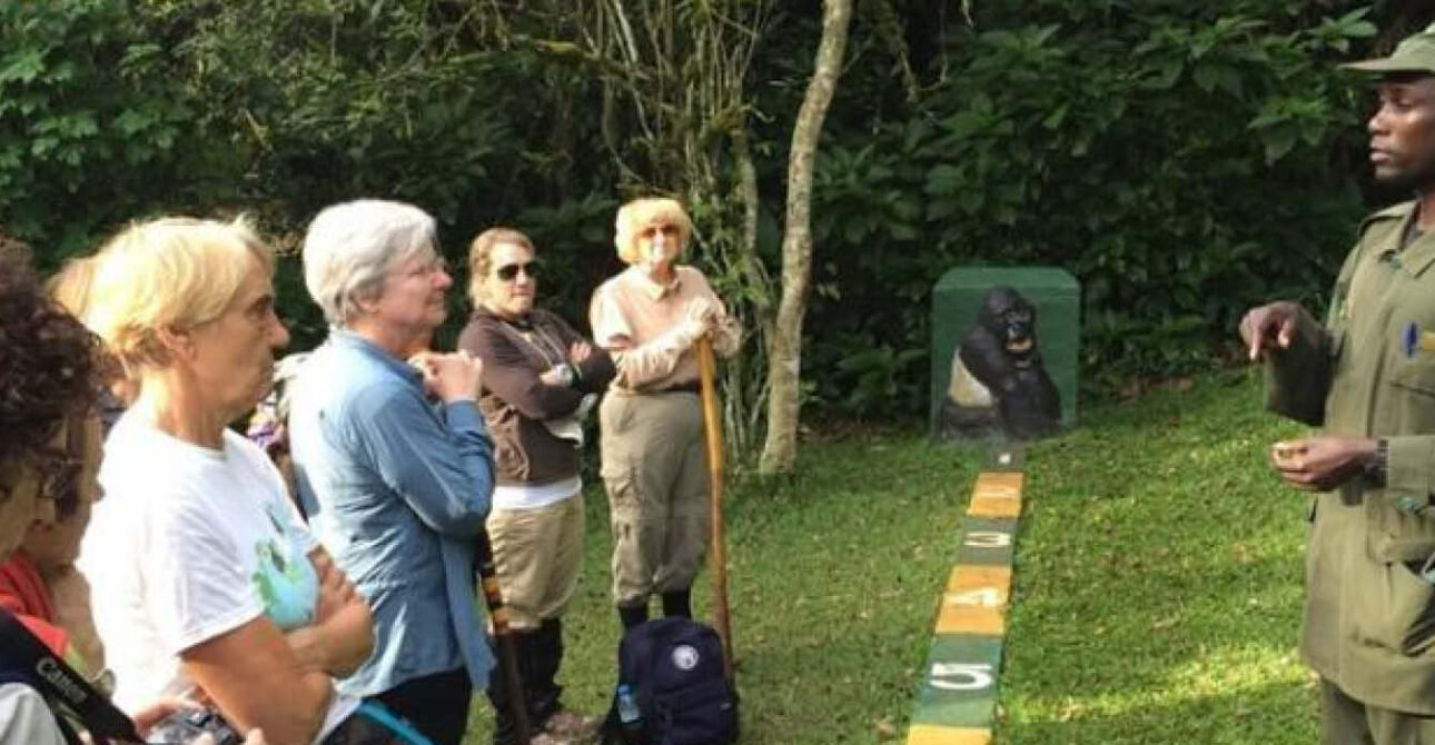 gorilla trekking ranger briefing uganda