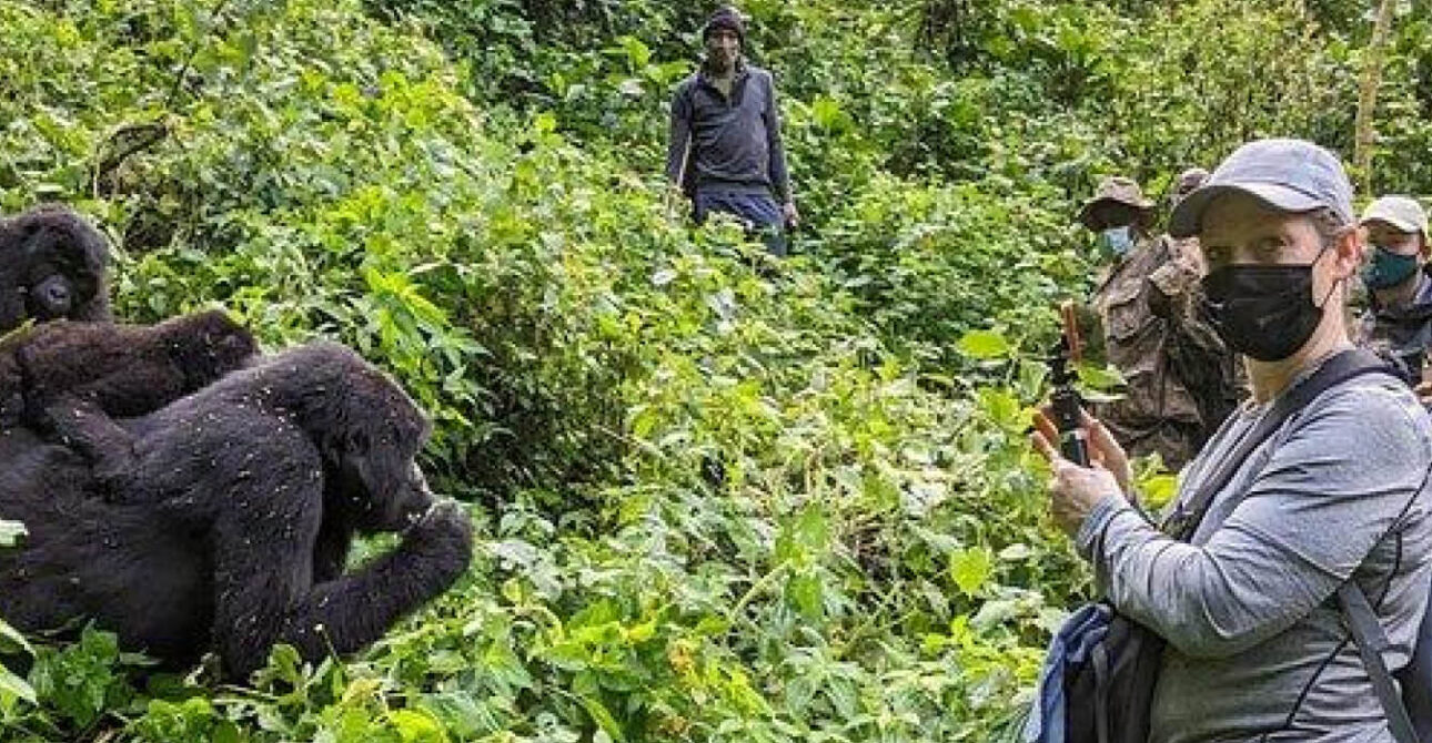 gorilla trekking uganda rwanda experience