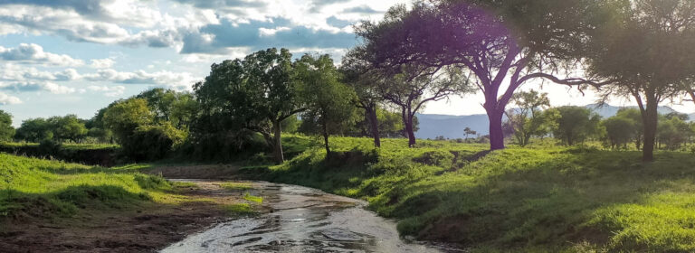 Scenic landscape in the Karamoja Region of northeastern Uganda, featuring a flowing stream, green vegetation, scattered trees and distant hills.