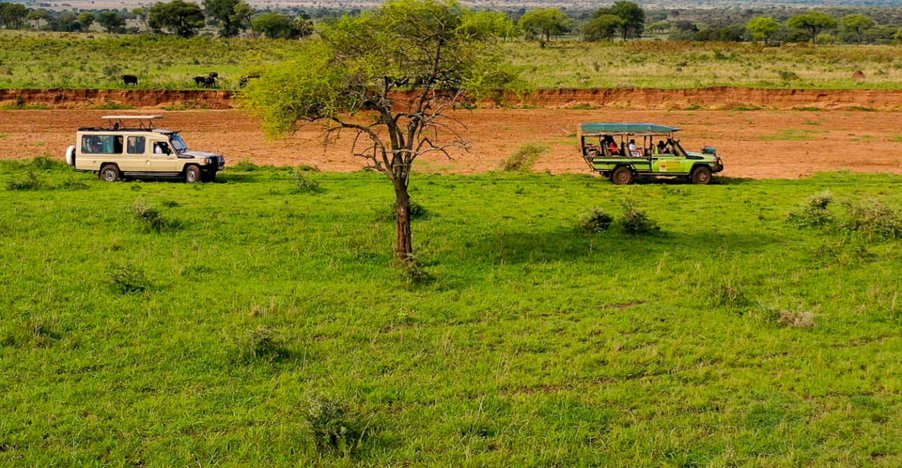 kidepo valley national park best time to visit game drive