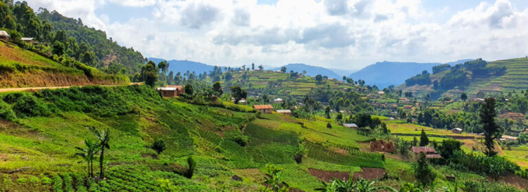 Terraced green hills and cultivated valleys across the Kigezi Region in southwestern Uganda.