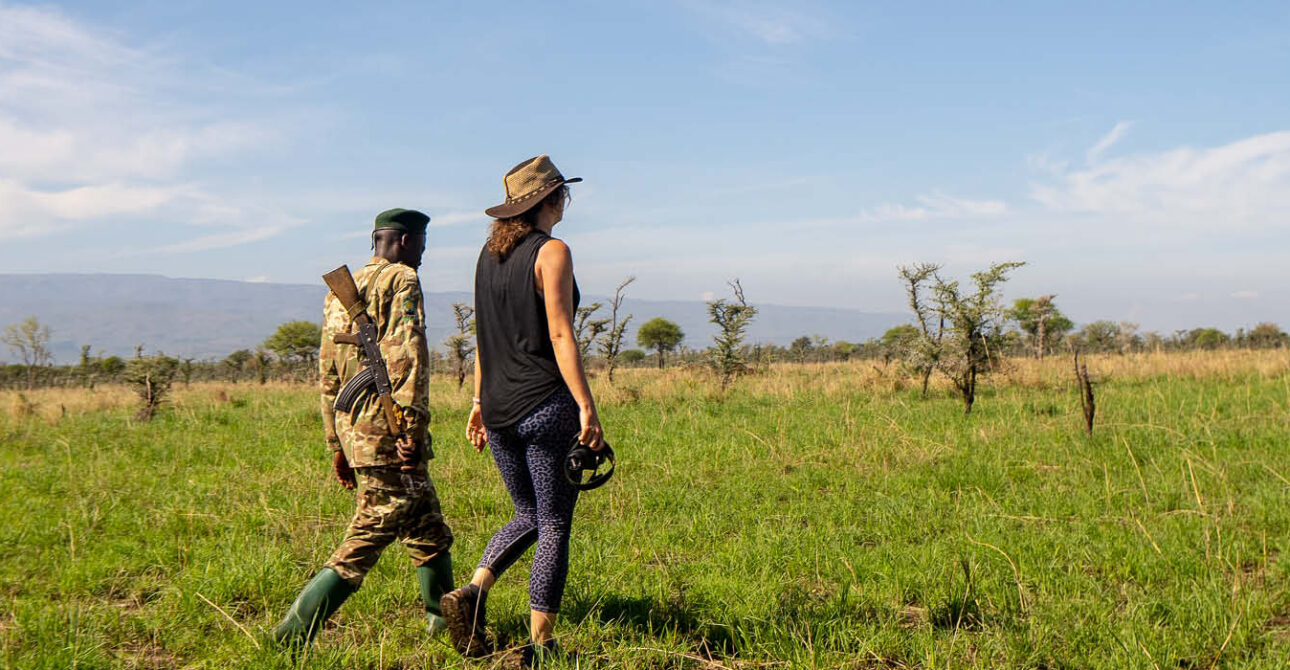 A visitor accompanied by an armed ranger on a guided walking safari through the grassy savannah of Lake Mburo National Park, Uganda.