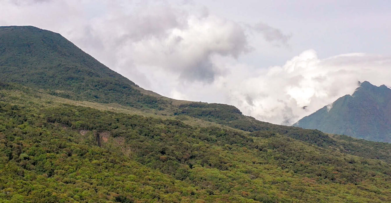 mgahinga gorilla national park virunga volcano landscape