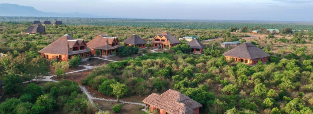 Mid-Range Safari Accommodation in Uganda featuring traditional thatched-roof safari lodges surrounded by natural vegetation and expansive savannah landscapes.
