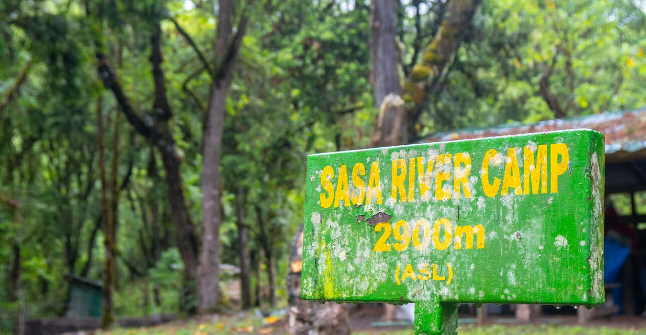 Sasa River Camp sign at 2,900 metres above sea level along the Mount Elgon trekking route in Mount Elgon National Park, Uganda.