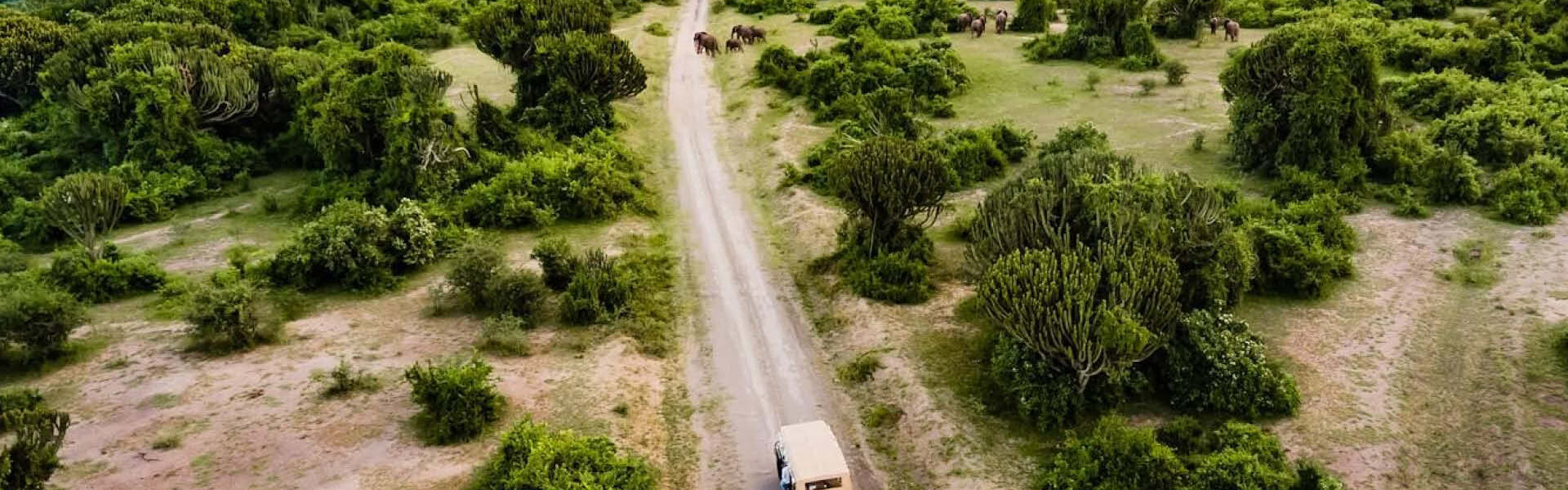 sample uganda private safari itineraries