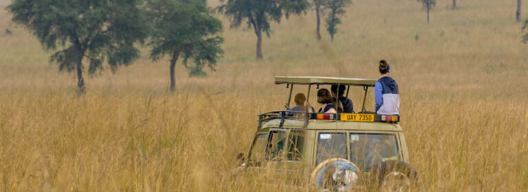 Tailor-Made Safaris in Uganda with travellers enjoying wildlife viewing from an open-roof safari vehicle