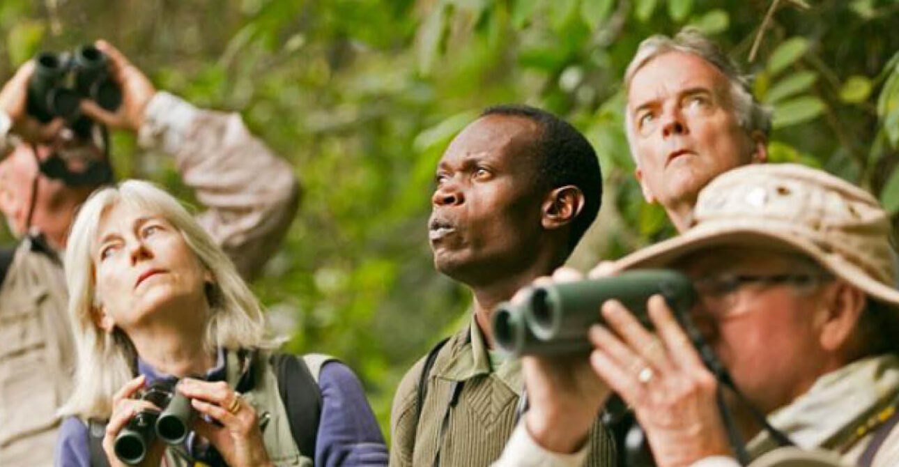Birdwatchers using binoculars during a guided birding safari