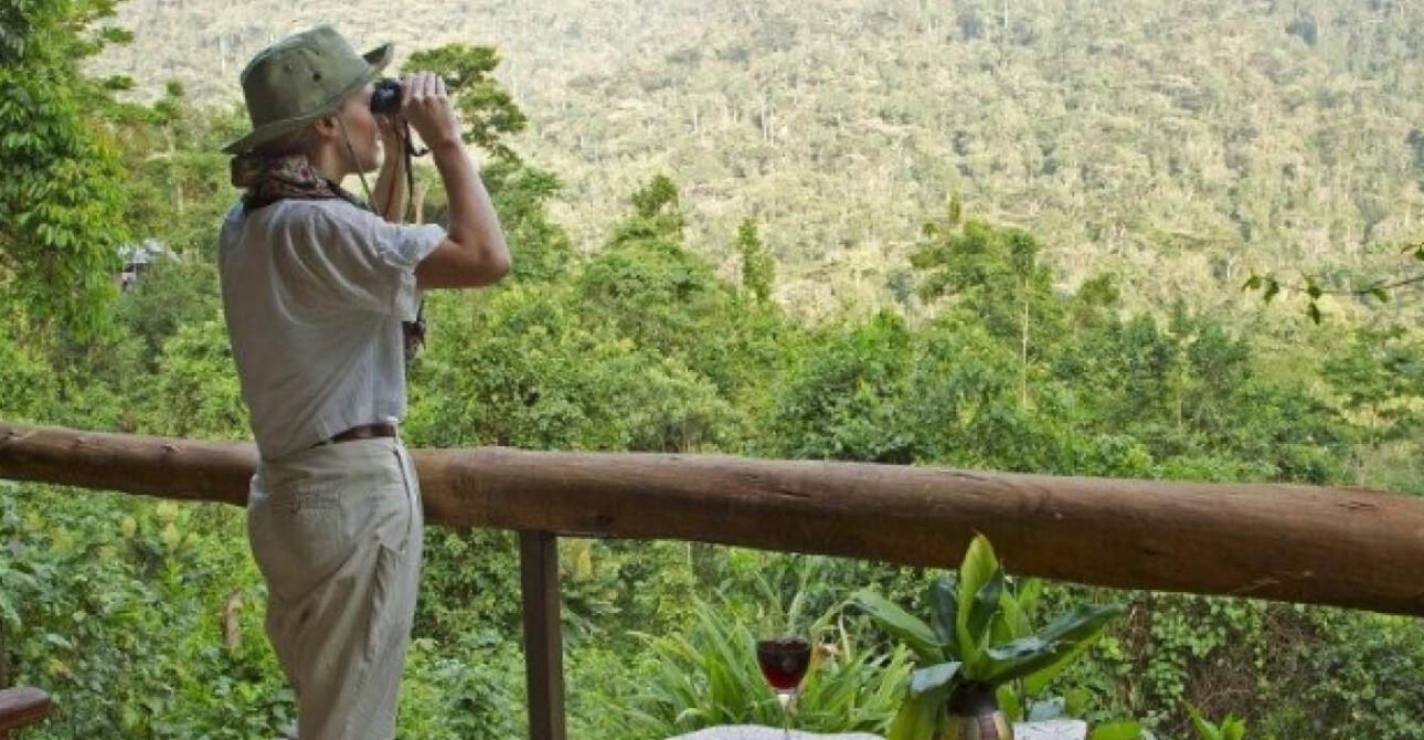 uganda birding safari travellers guide