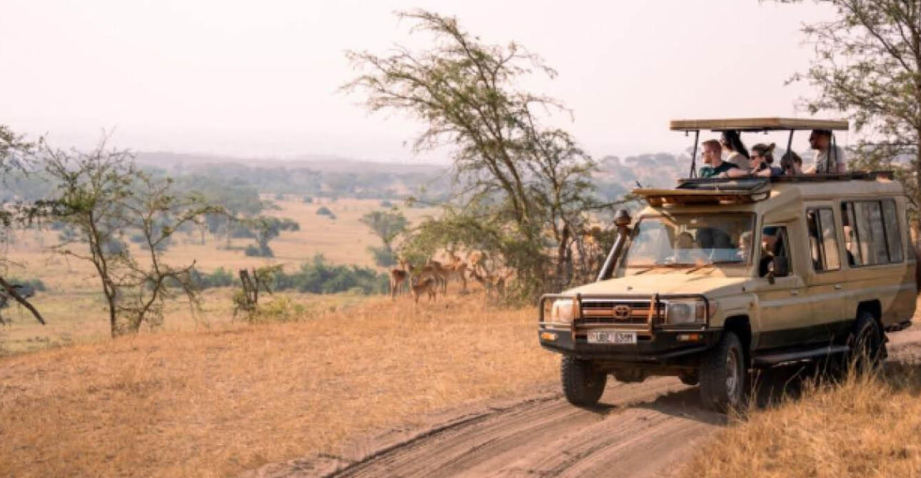 Safari vehicle in Uganda's savannah landscape during a photography tour