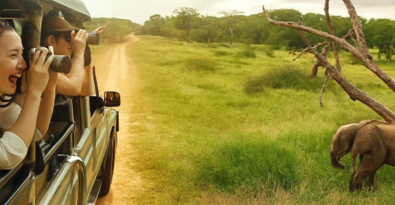 Photographers capturing wildlife from a safari vehicle in Uganda