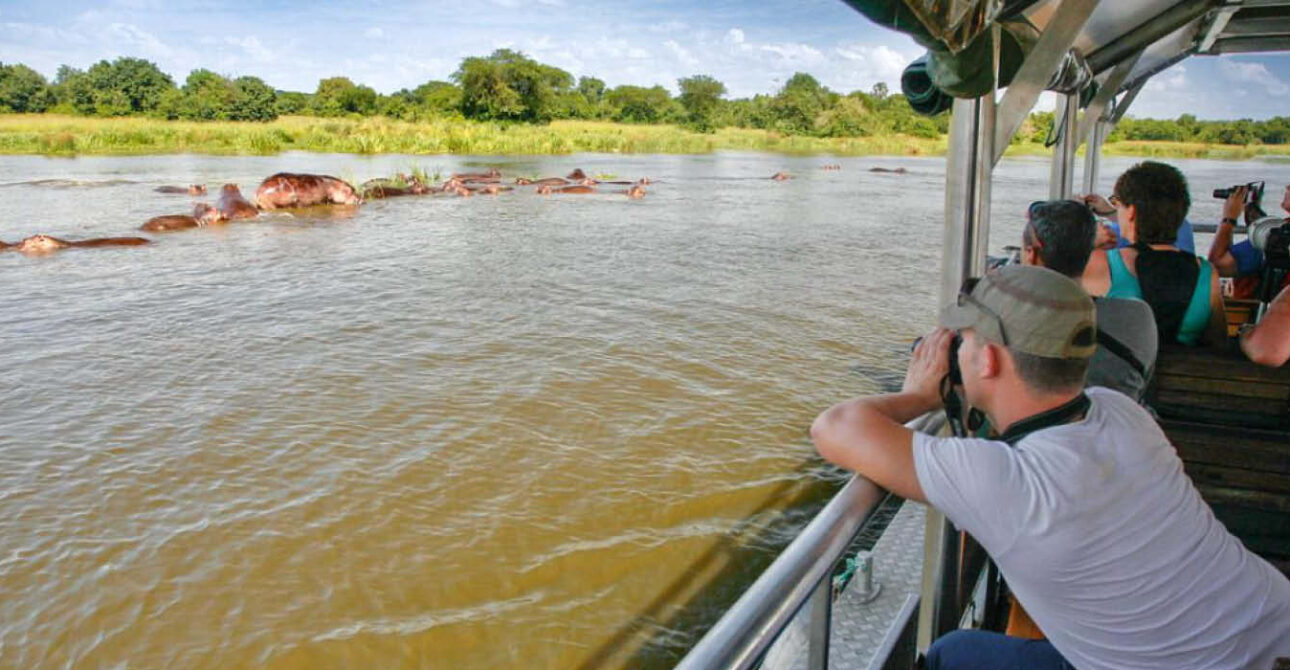 Travellers viewing wildlife during a Uganda safari boat experience