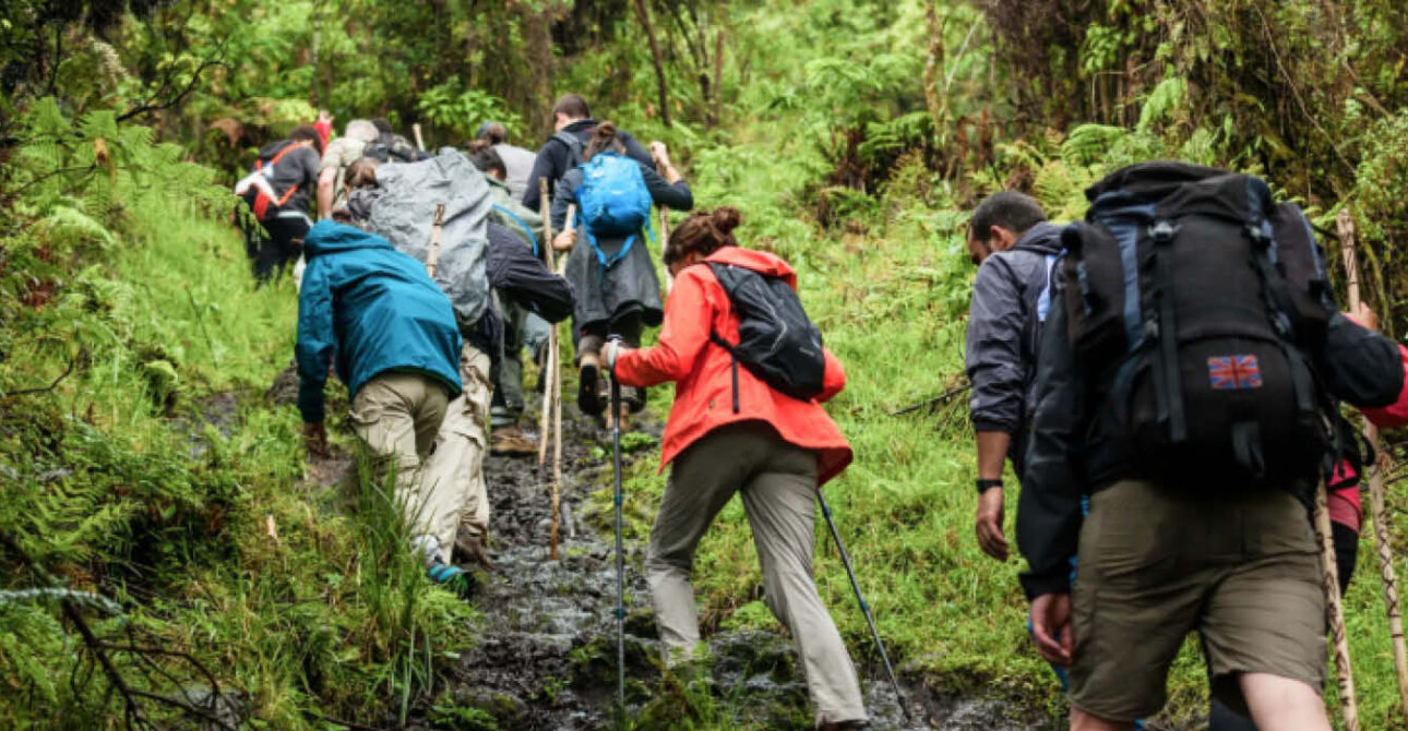 what to wear and pack for gorilla trekking in rwanda