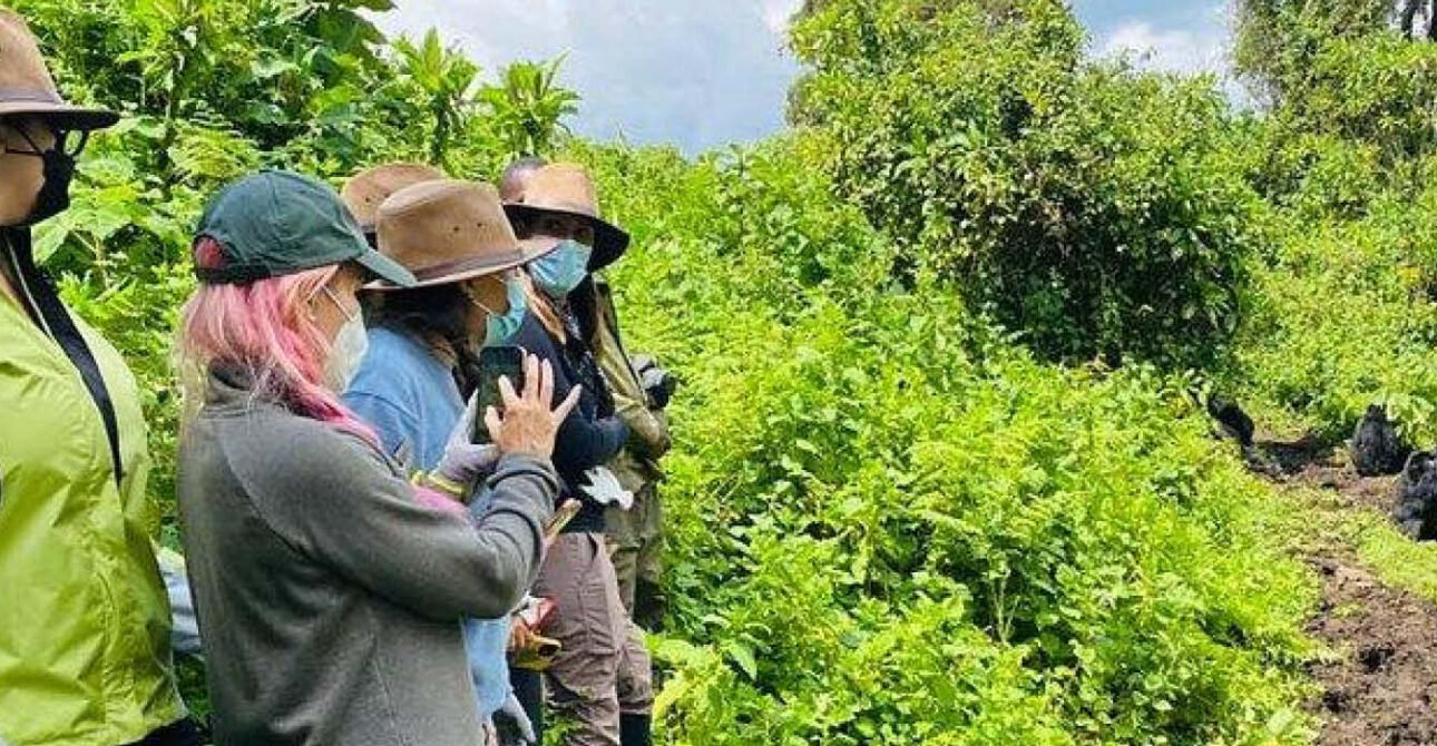 who can go gorilla trekking in rwanda